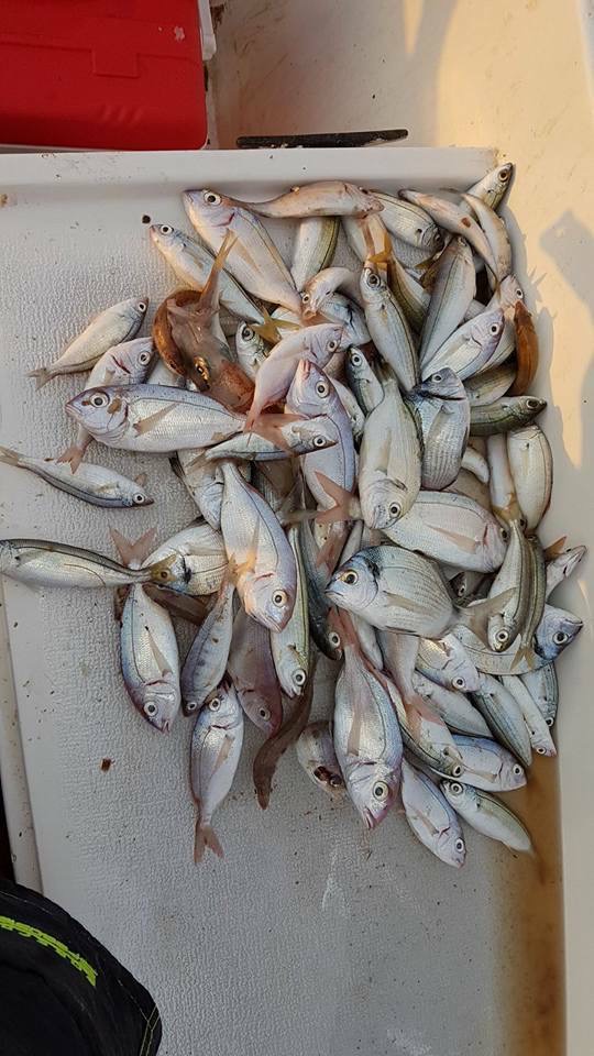 Fethiye'den Özel Yatla Adalar Turu ve Balık Avı