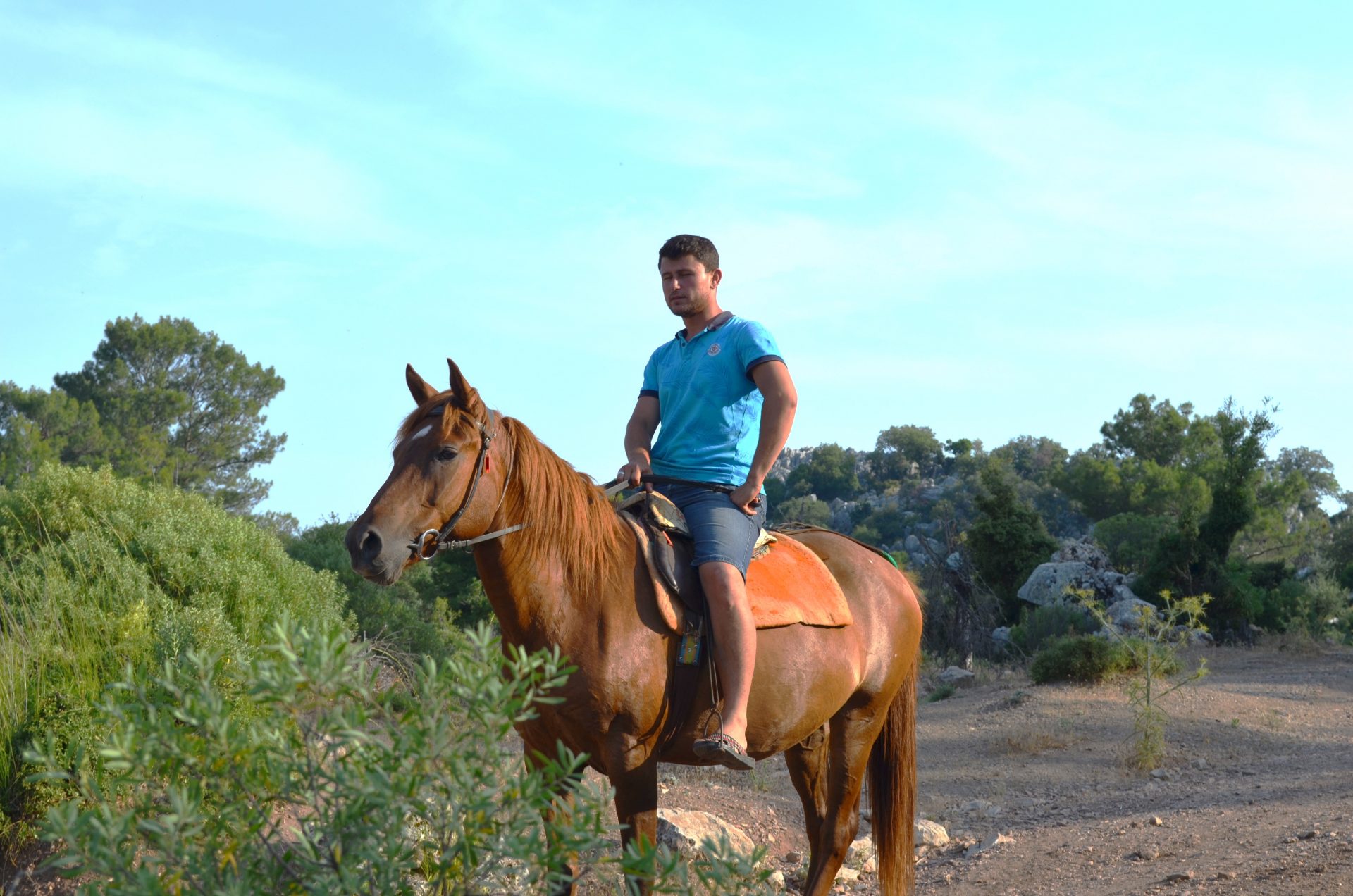Fethiye'de At Safarisi